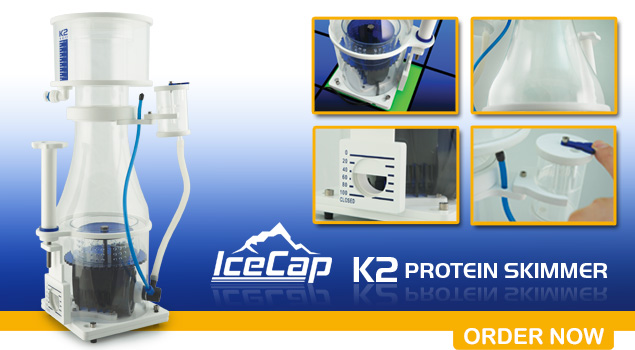 K2 Skimmers