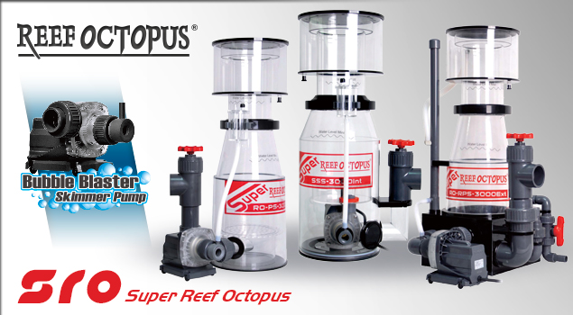 Super Reef (SRO)