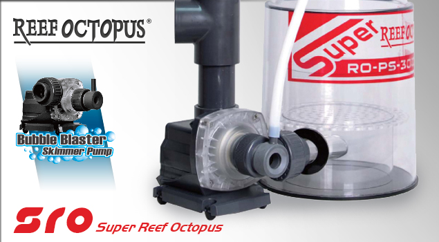 SRO INT - In Sump