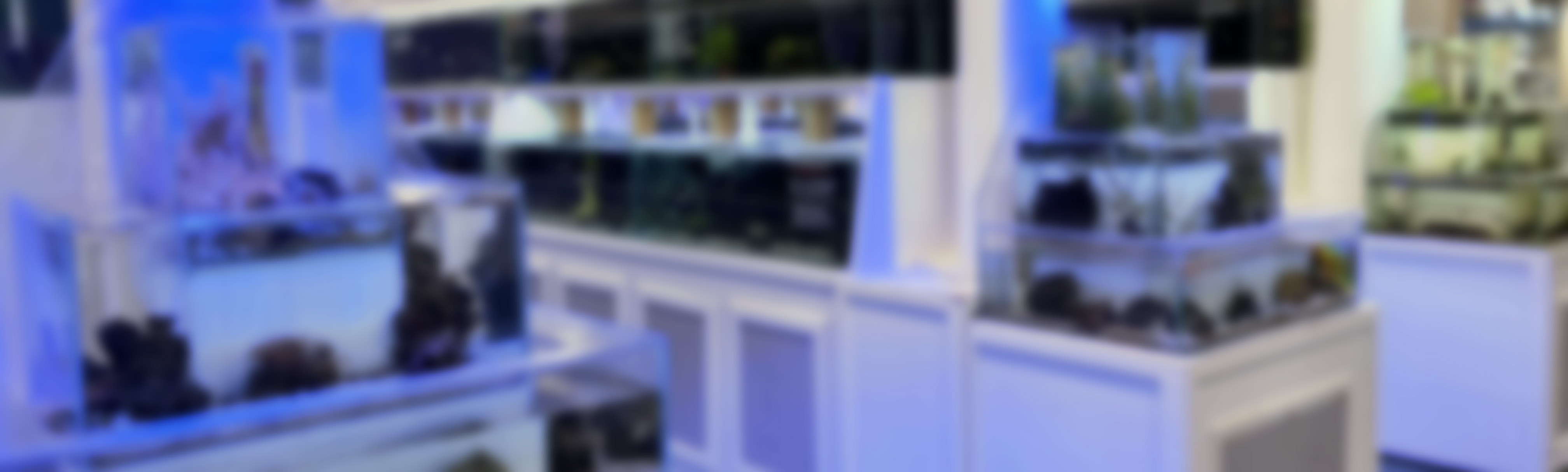Store Operations