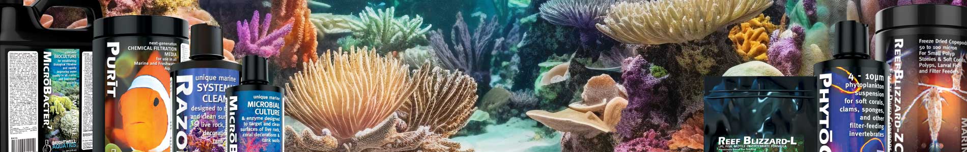 Brightwell Aquatics