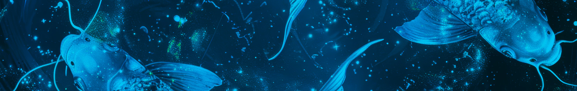 Seneye