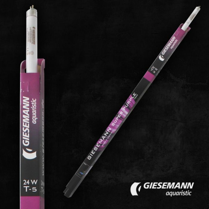 Giesemann Super Purple PowerChrome T5 bulb Giesemann Super Purple PowerChrome T5 bulb