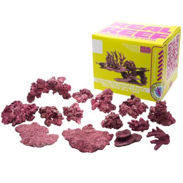 Real Reef Ready Mix, Reef Box