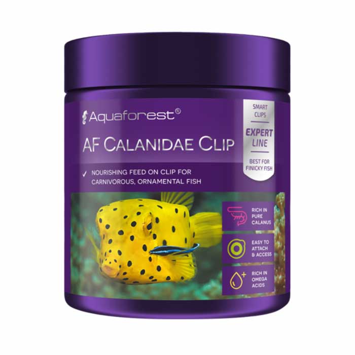 af-calanidae-clip
