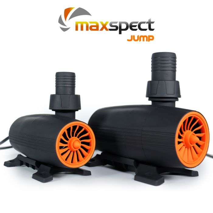 jumpdcpump_wlogo