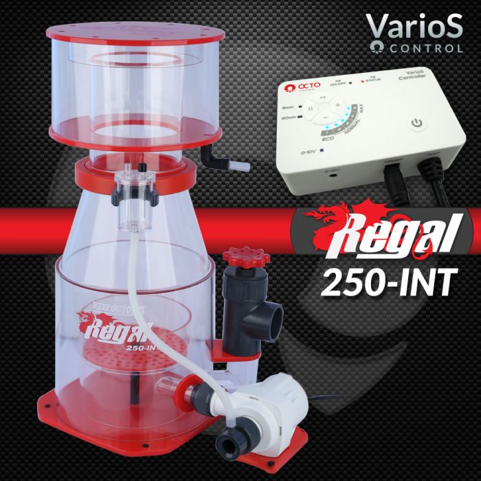 regal250int_2