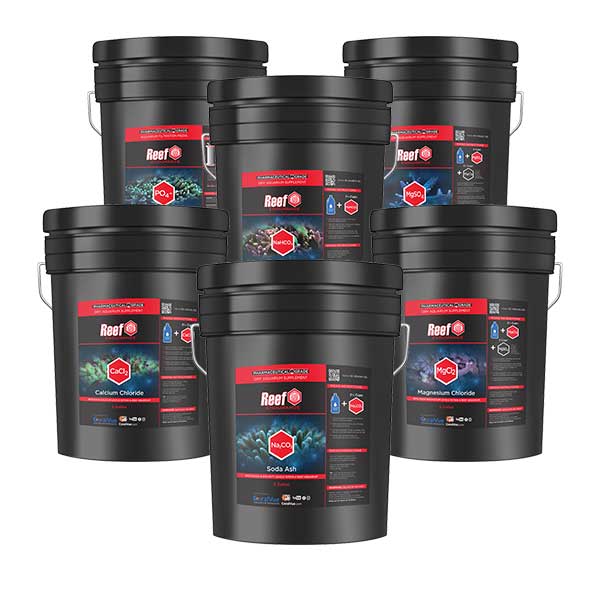 reef-endurance-bucket