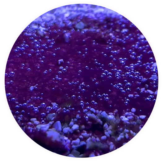 Cyanos_Circle