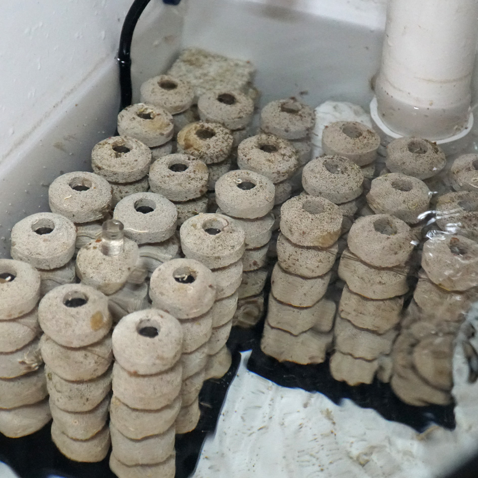 IC_Bioballtower_InUse_2