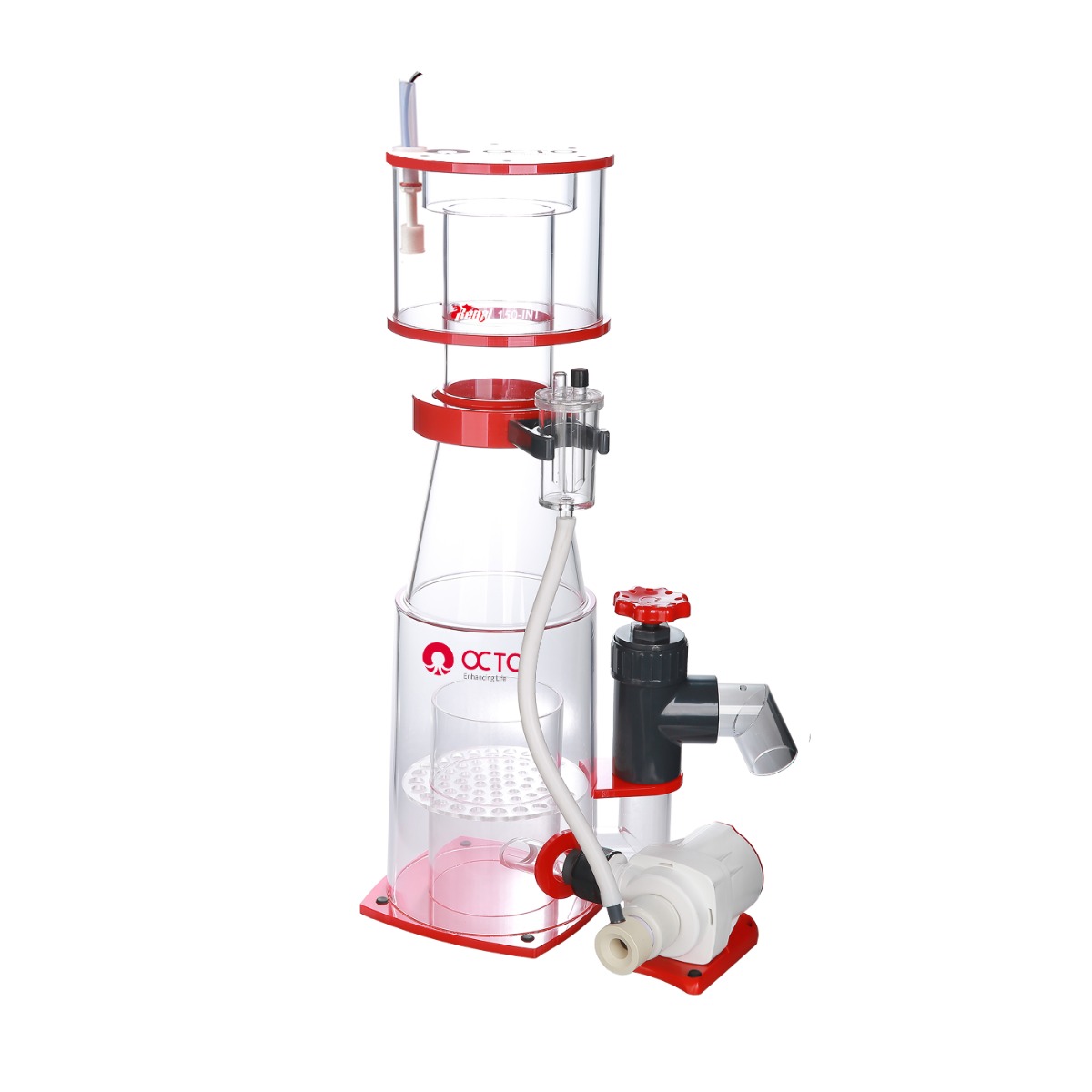 Regal Protein Skimmer