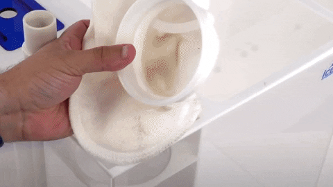 Animated_GIF-downsized_large_1_
