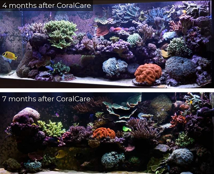 Philips Engineer Luc Vogels Progress Shots During CoralCare Gen1 Testing Philips Engineer Luc Vogels Progress Shots During CoralCare Gen1 Testing