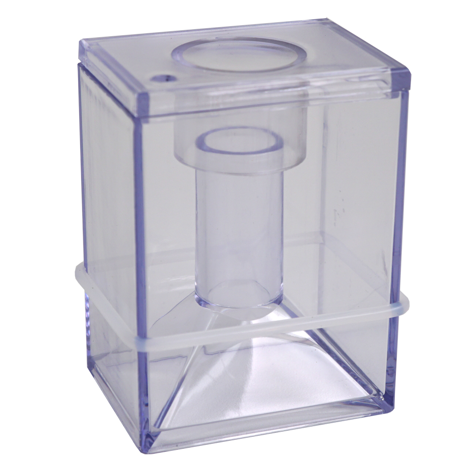 Collection-Cup