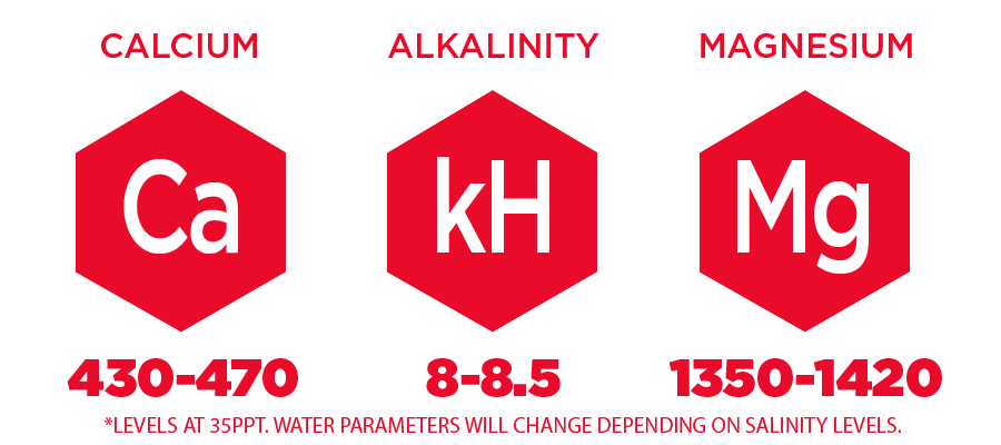 SaltParameters
