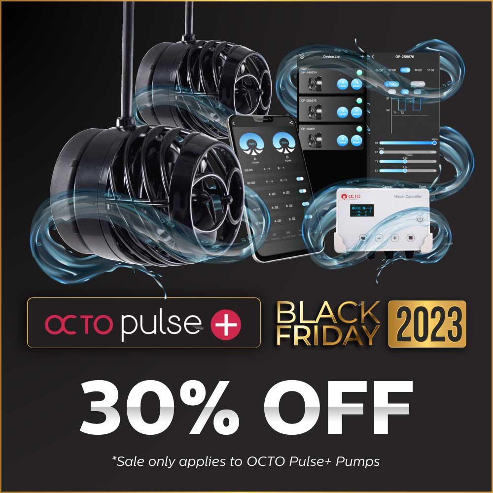 bf-2023-eblast-and-social-octo-pulse-plus