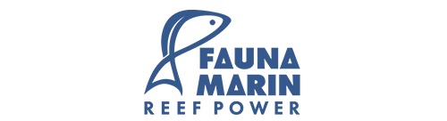 Fauna Marin