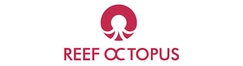 Reef Octopus