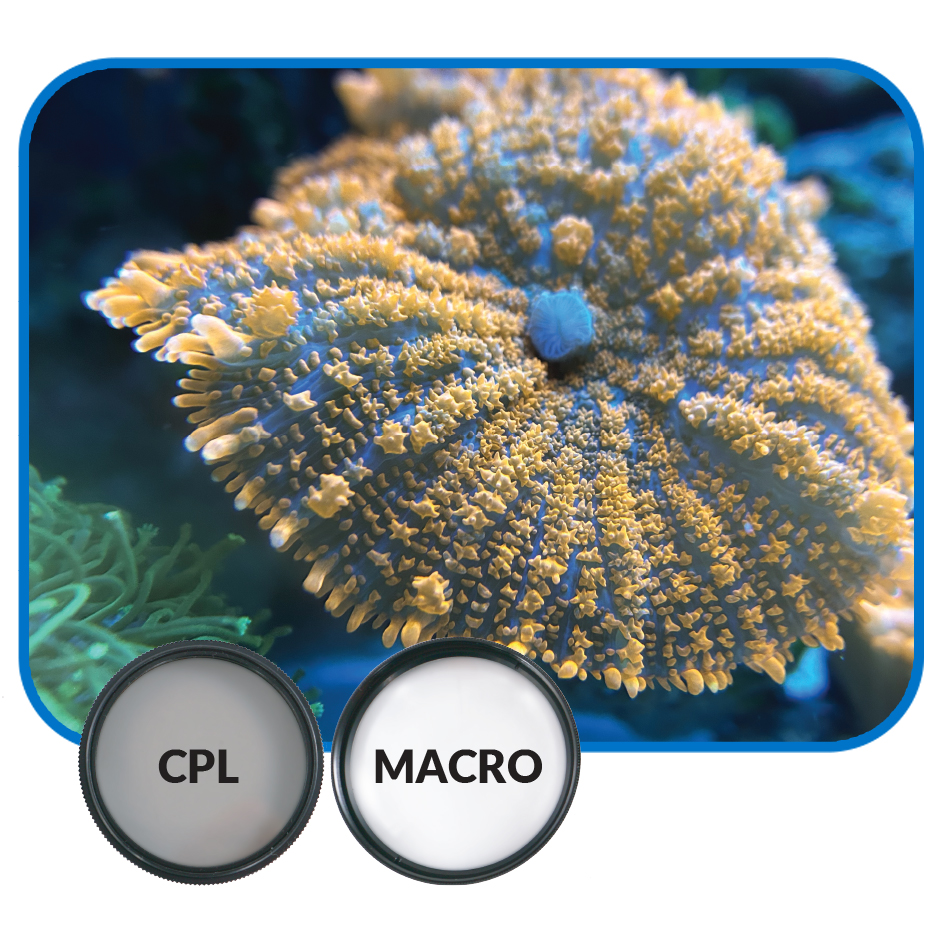 IC_CameraFilter_MacroExample