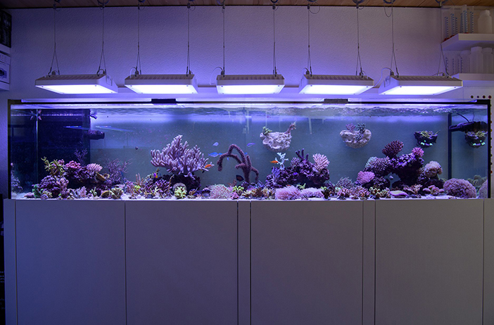 Philips Debuts CoralCare Gen1.1 LED Light Fixture at Interzoo in May 2018